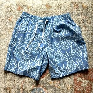 Men’s Chubbies 7 in. Thigh Napples swim trunks, excellent condition, size large